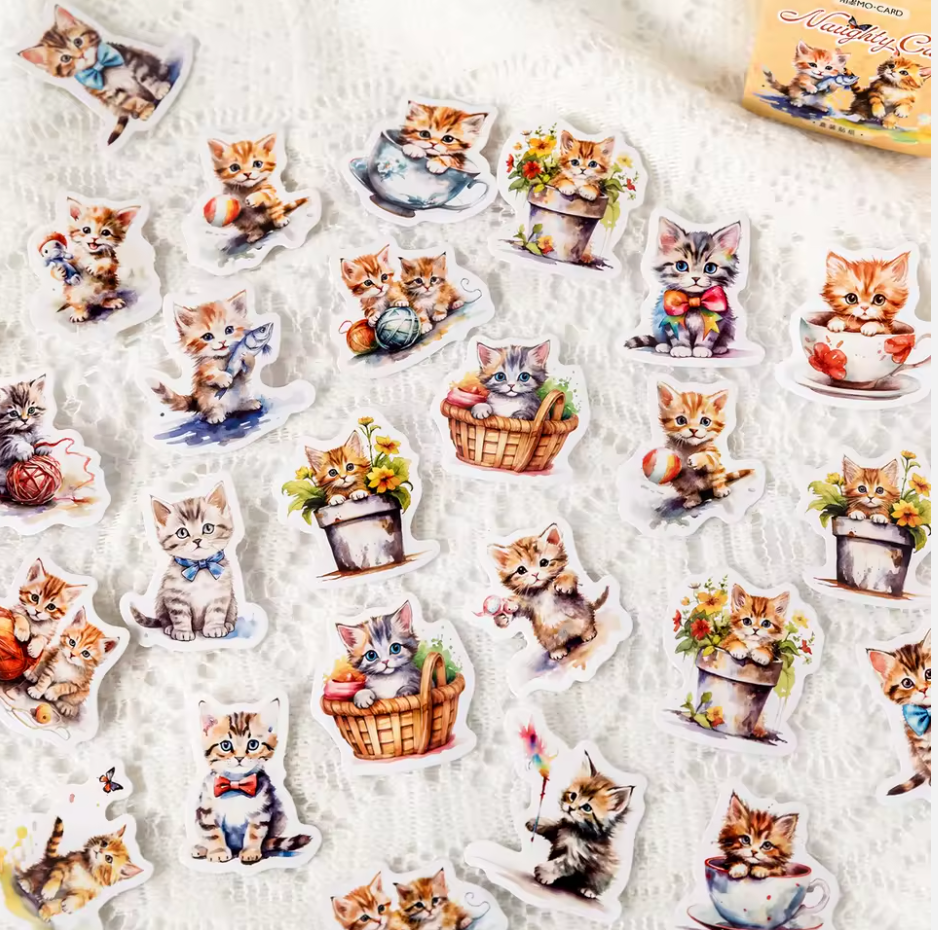 Cajita de stickers gatito