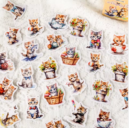 Cajita de stickers gatito