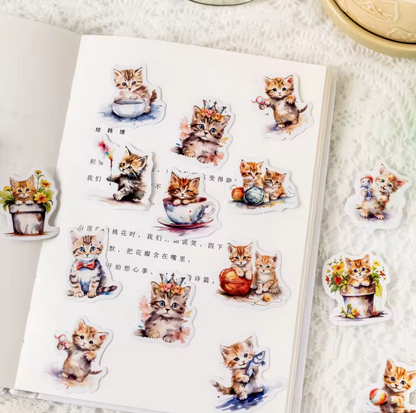 Cajita de stickers gatito