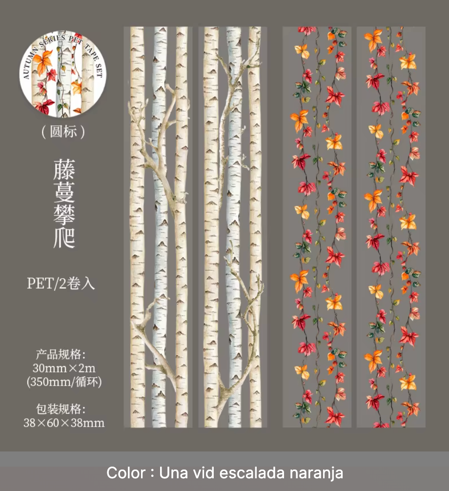 2 Washi Tapes Anchos Otoño