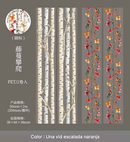 2 Washi Tapes Anchos Otoño