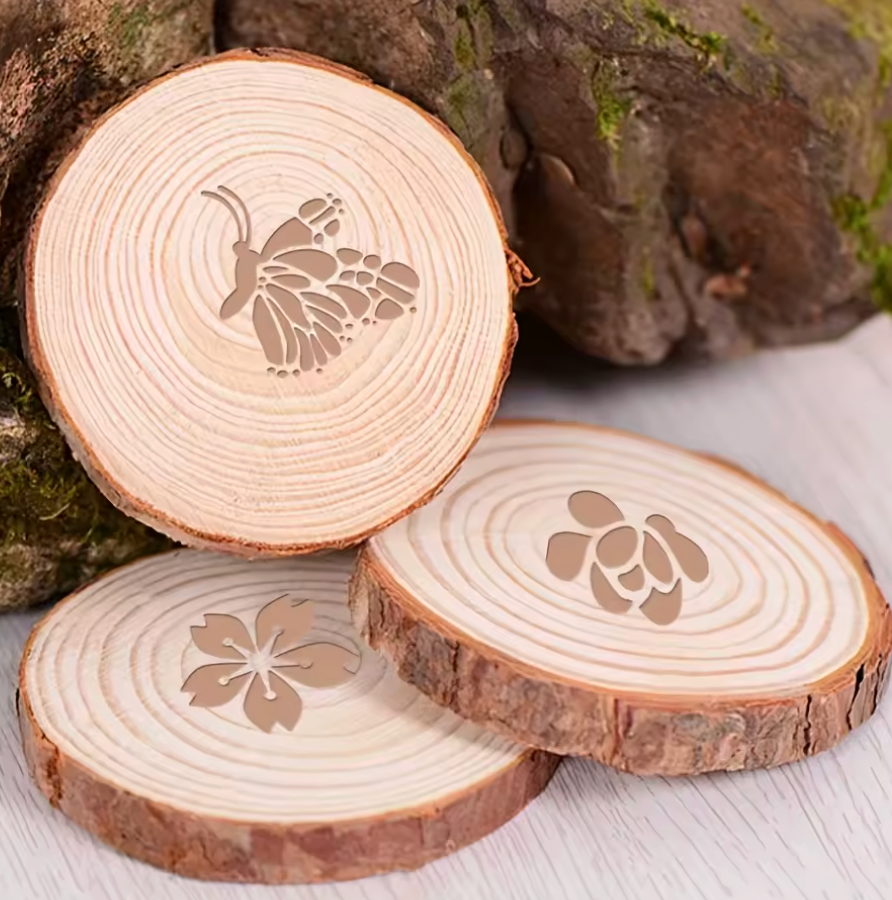 6 Stencils Mariposas, plantas & insectos