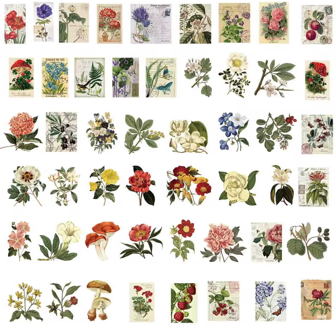 50 Stickers transparentes flores vintage