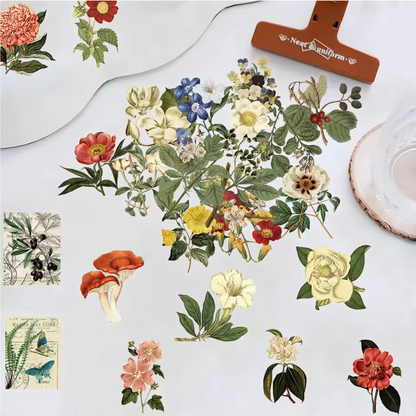 50 Stickers transparentes flores vintage