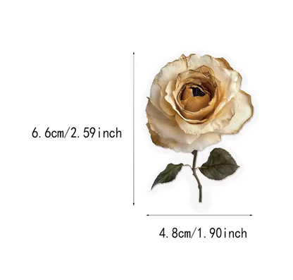 50 Stickers transparentes Rosas