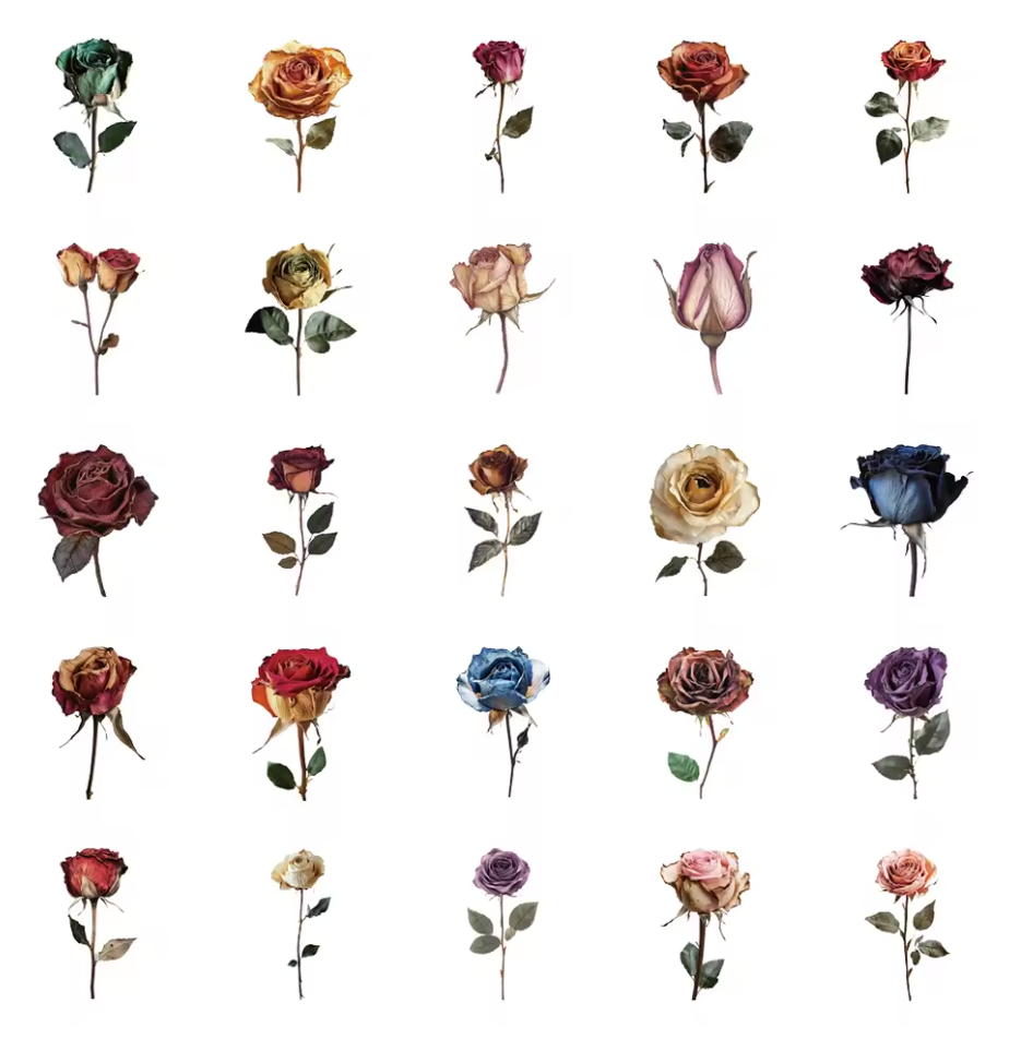 50 Stickers transparentes Rosas