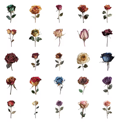 50 Stickers transparentes Rosas