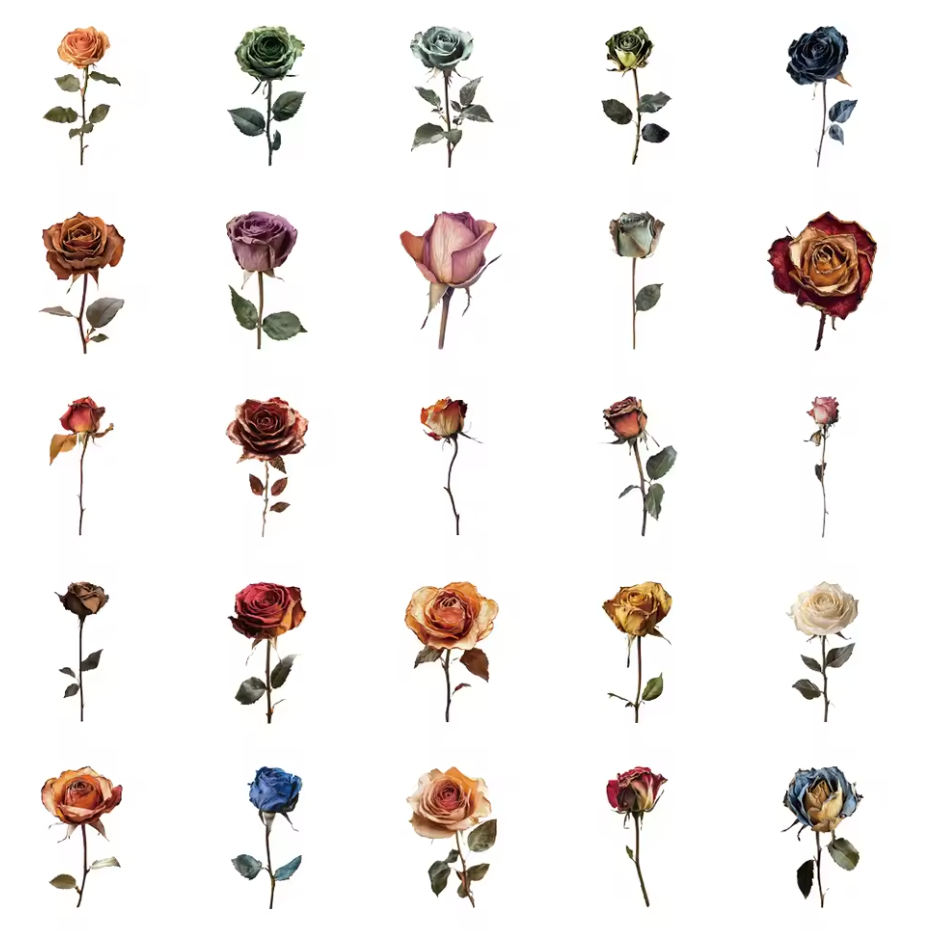 50 Stickers transparentes Rosas
