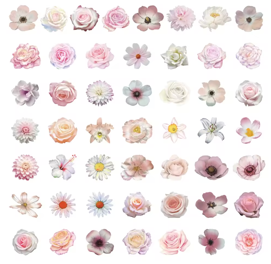 50 Stickers Transparentes Flores rosas
