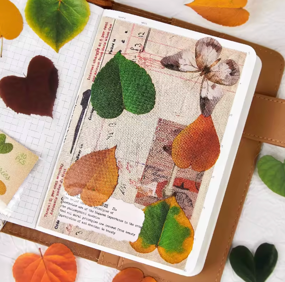 40 Stickers Hojas Arboles Otoño