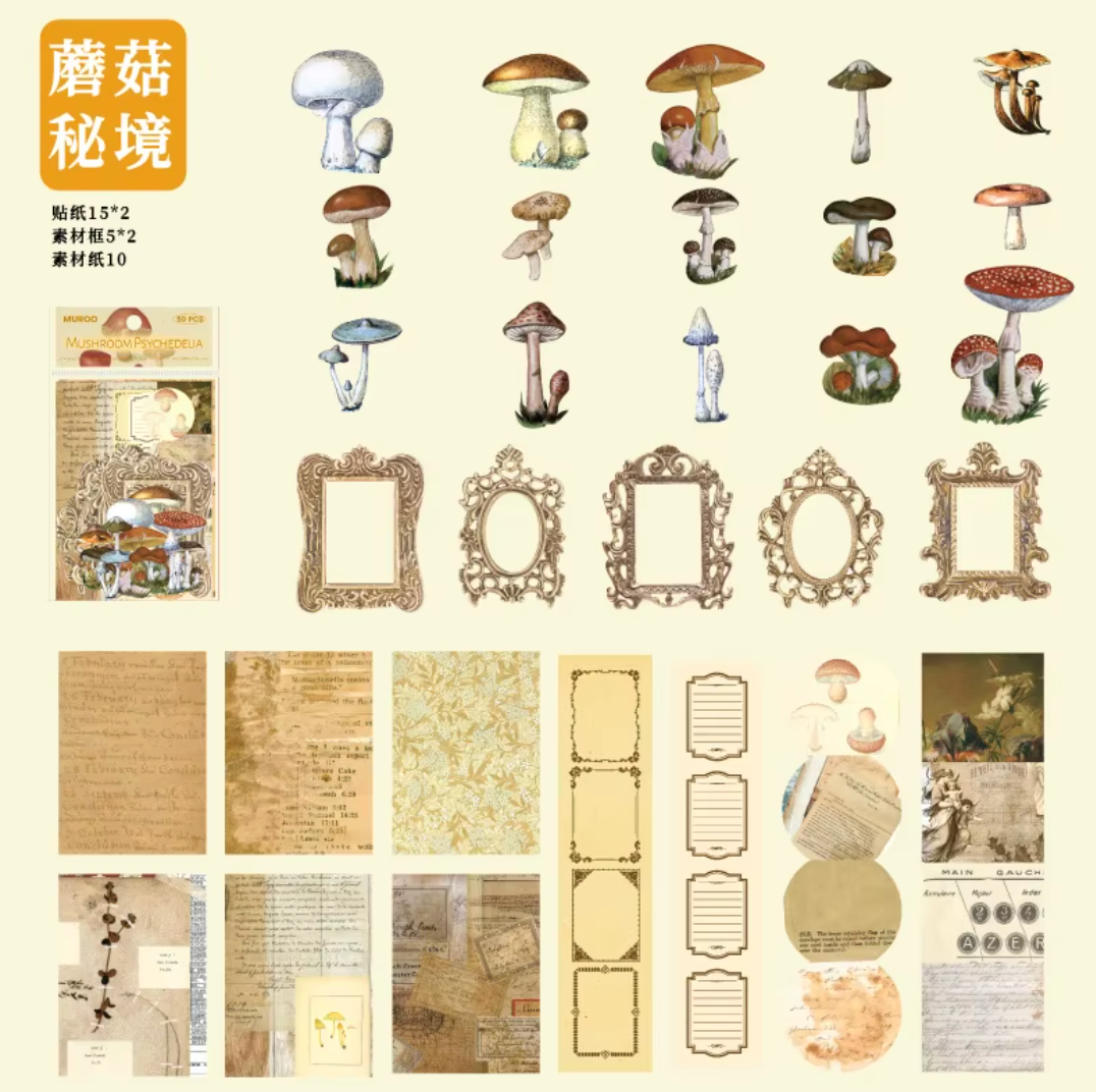 Kit de 50 piezas Murro Mariposas & Marcos