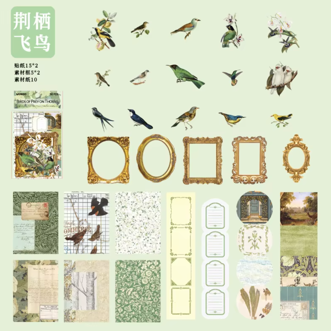 Kit de 50 piezas Murro Mariposas & Marcos