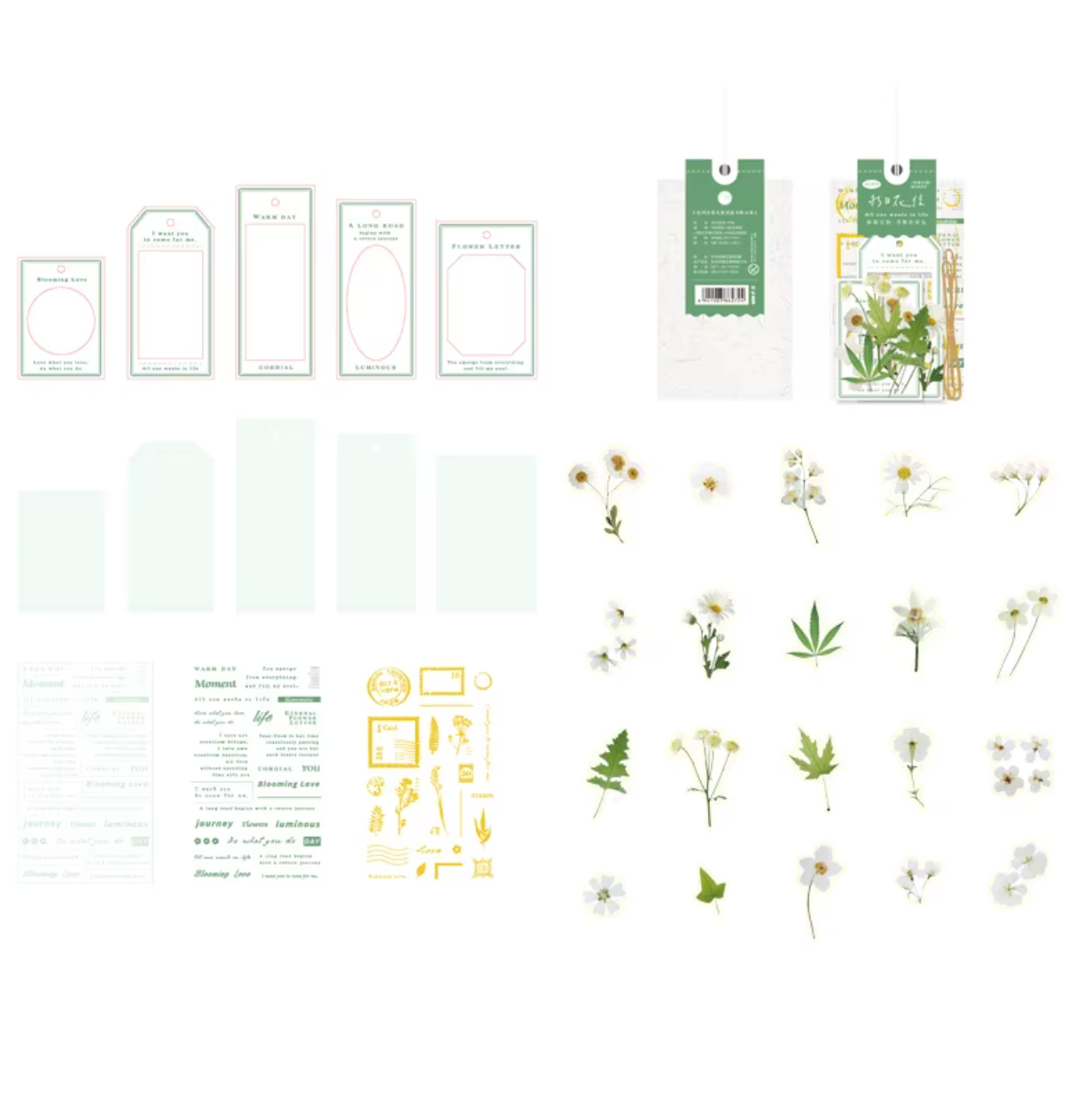 Kit de 54 piezas Flores & marcos foil holografico