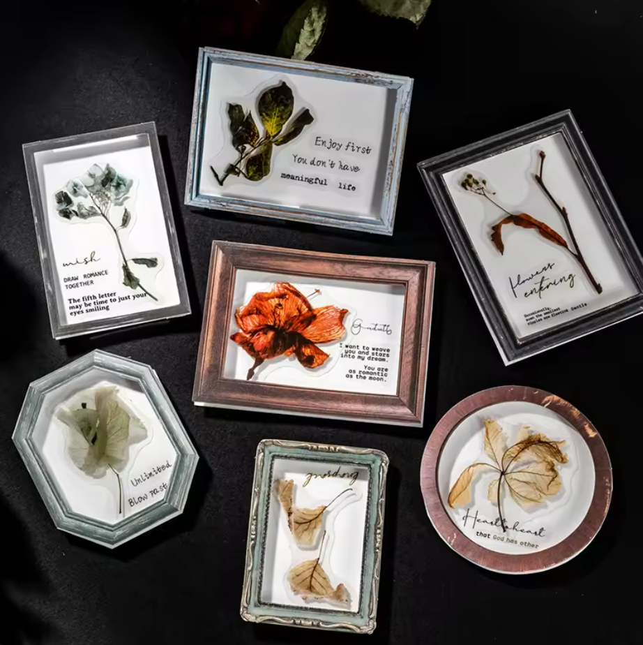 20 Stickers Marcos & Flores secas