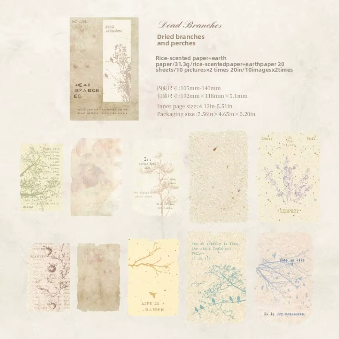 20 Papeles Alta calidad