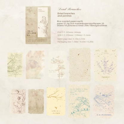 20 Papeles Alta calidad