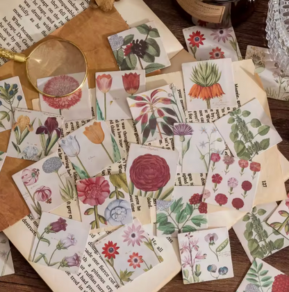 Cajita de Stickers Flores Vintage