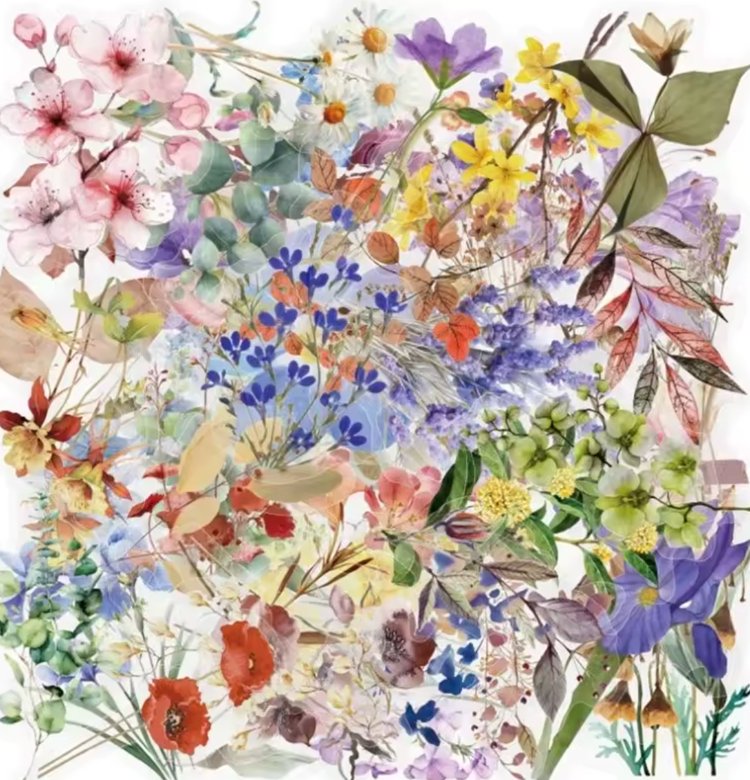 50 Stickers transaprentes Flores