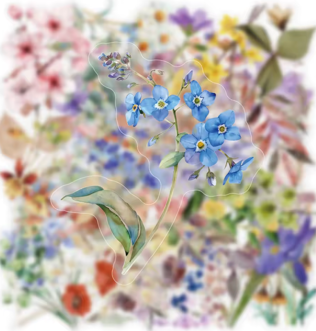 50 Stickers transaprentes Flores