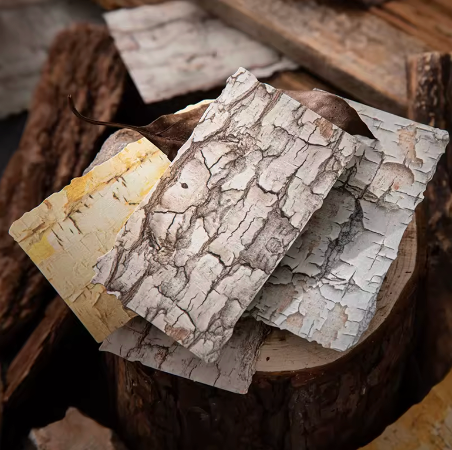20 Papeles Corteza de arboles