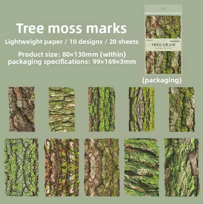 20 Papeles Corteza de arboles