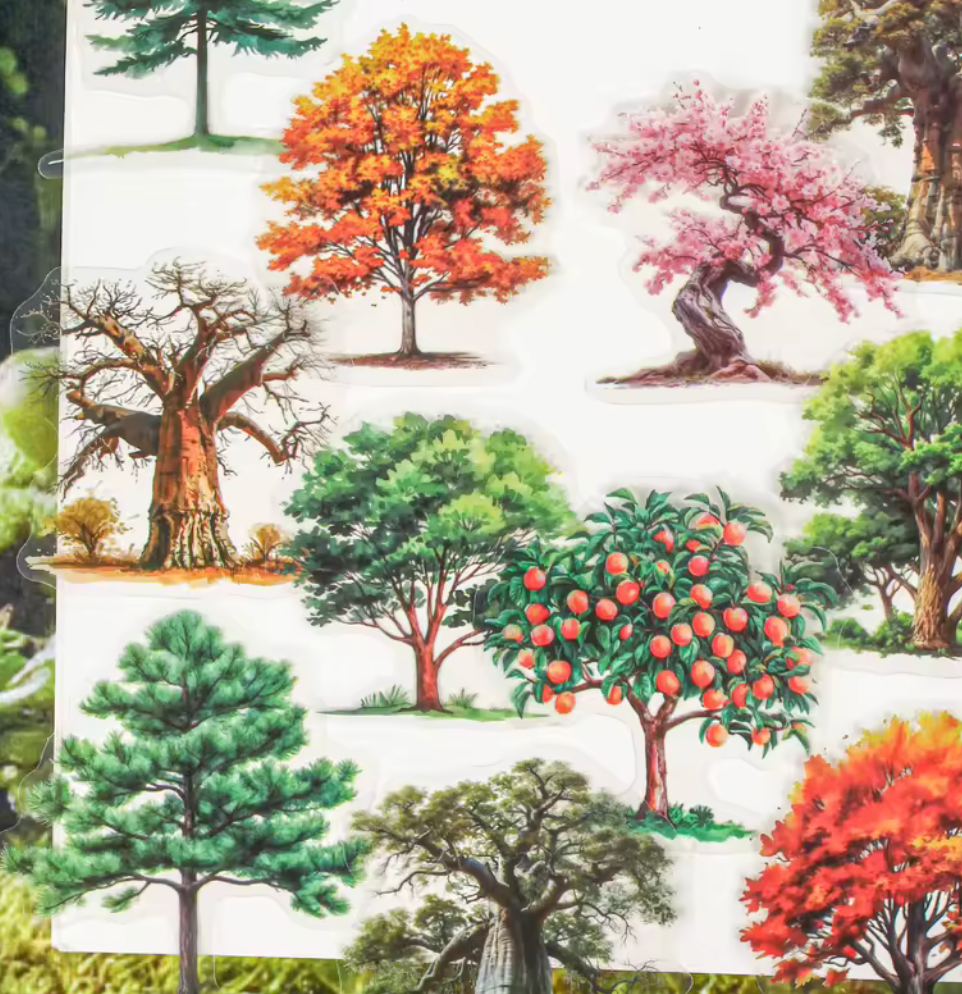 15 Stickers Arboles Estaciones