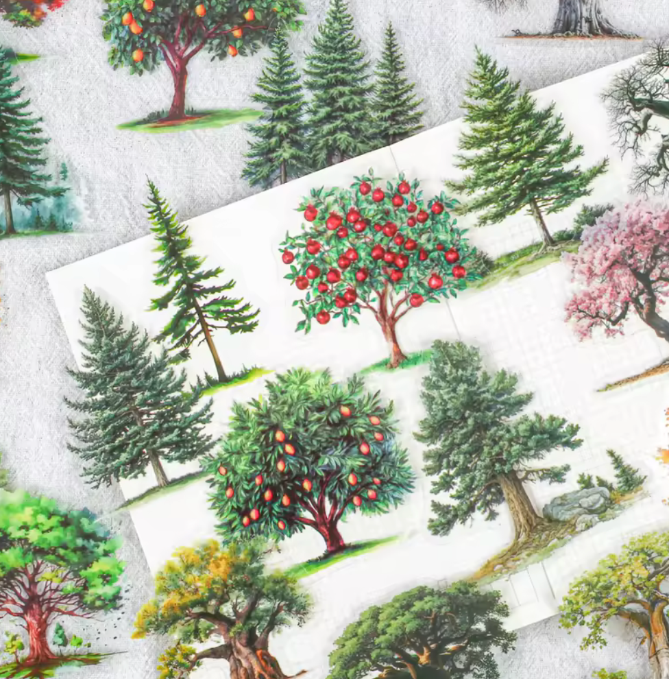 15 Stickers Arboles Estaciones