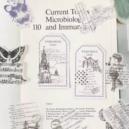 30 Stickers transparentes con texto