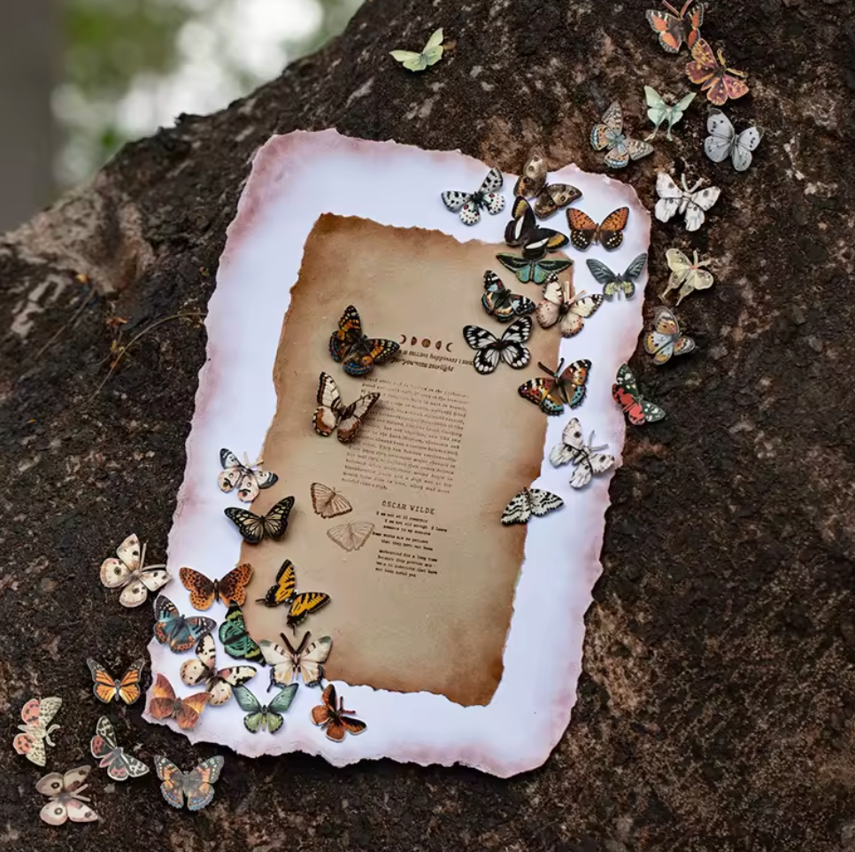50 Mariposas Papel