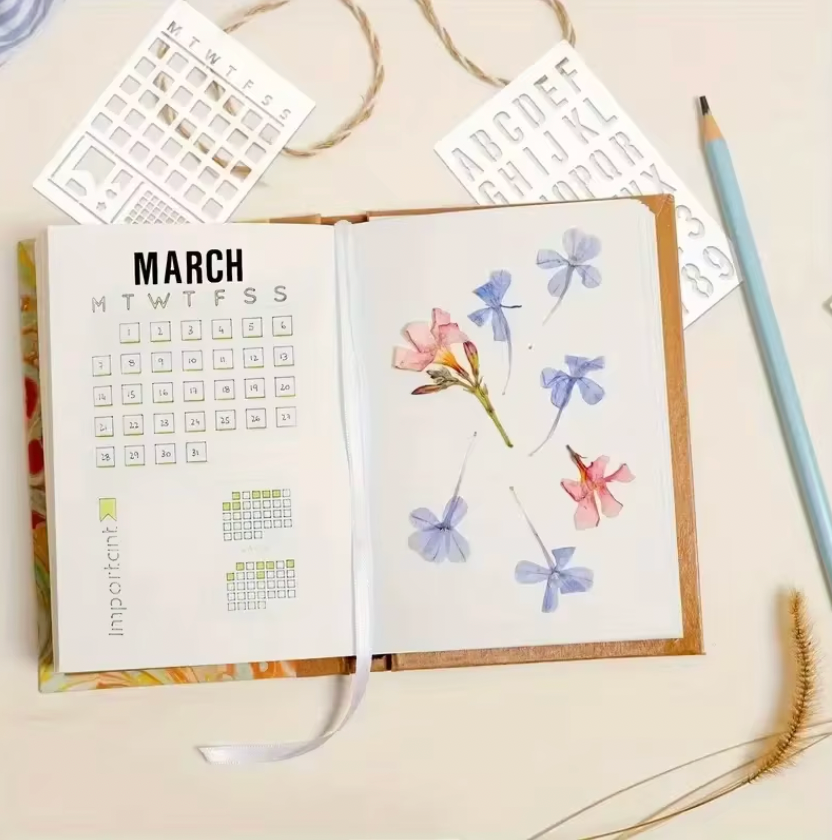 16 Stencils Tracker Bullet journal & agenda
