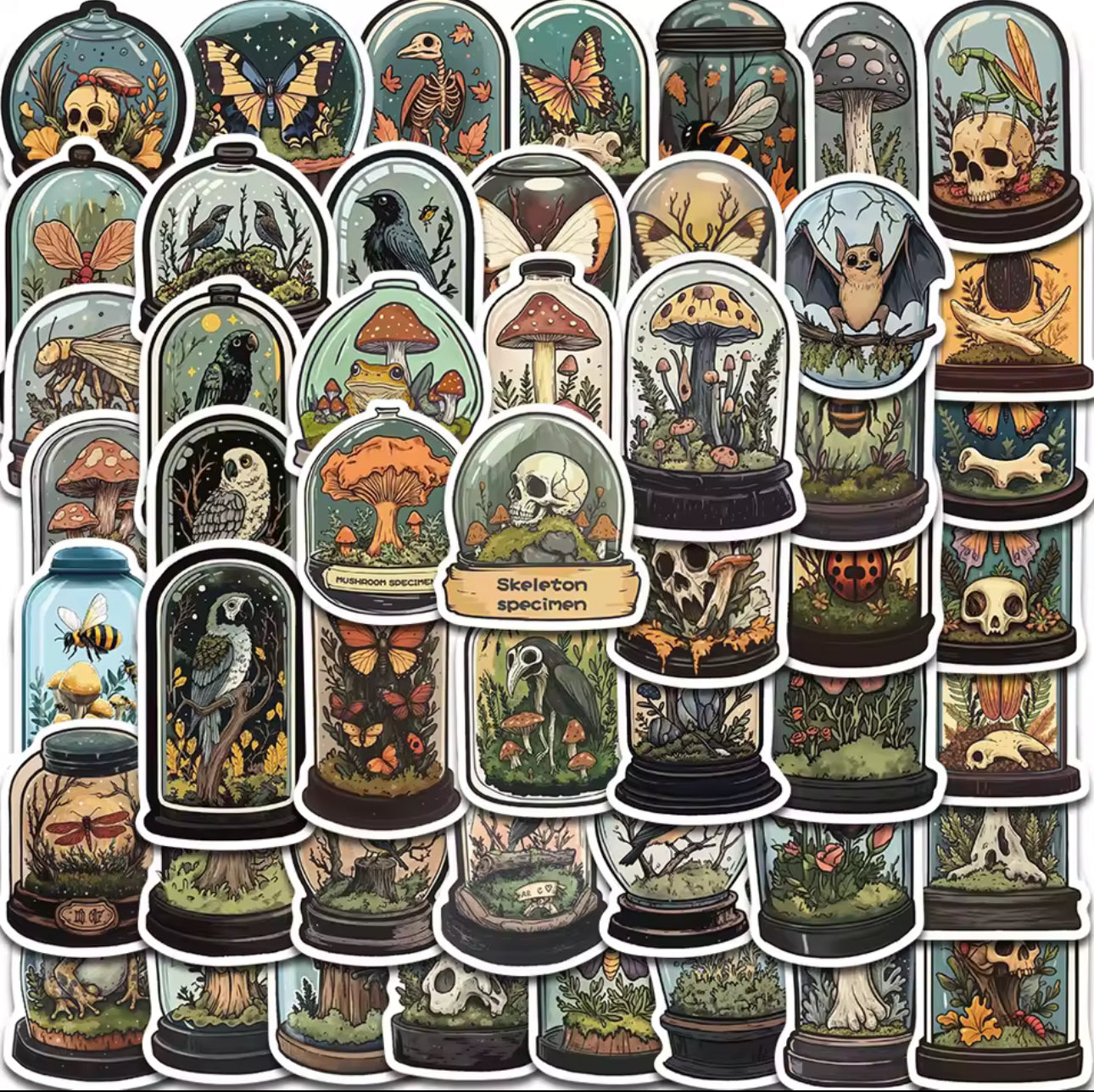 50 Stickers Vinil Frascos con insectos