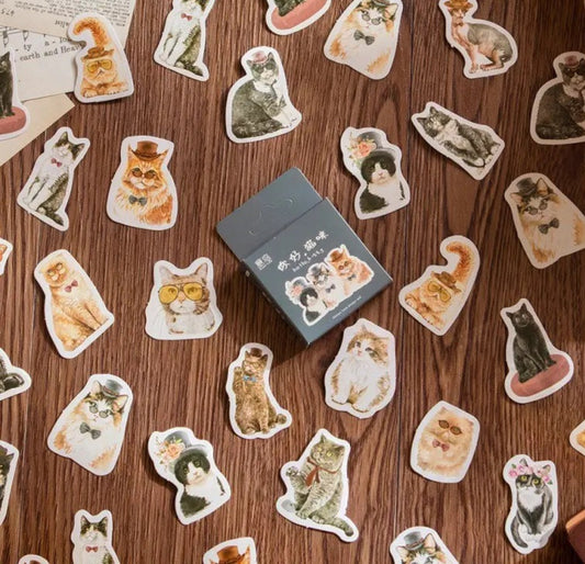 Cajita Stickers Gatos