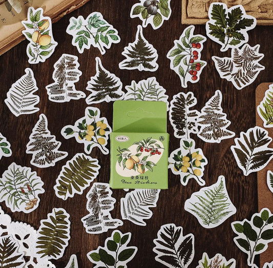 Cajita de Stickers Hojas verdes bisque