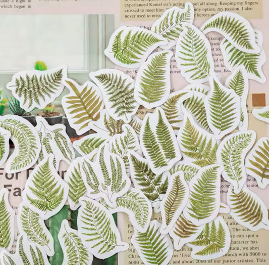 Cajita de stickers Hojas del bosque