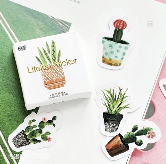 Cajita de Stickers Plantas macetas