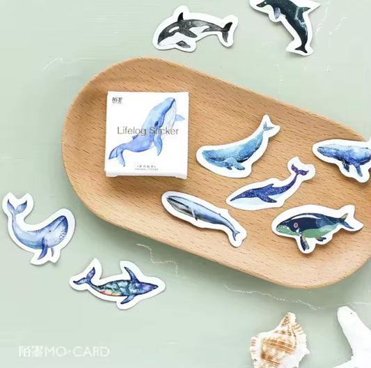 Cajita de Stickers Ballenas