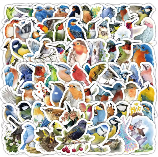 100 Stickers Vinil parajos