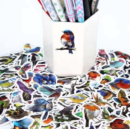 100 Stickers Vinil parajos