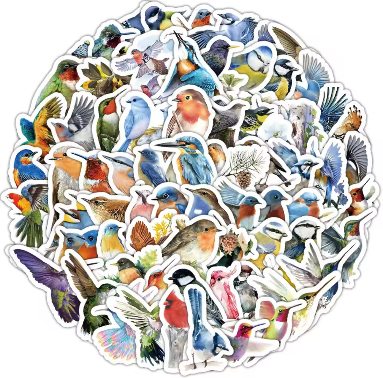 100 Stickers Vinil parajos