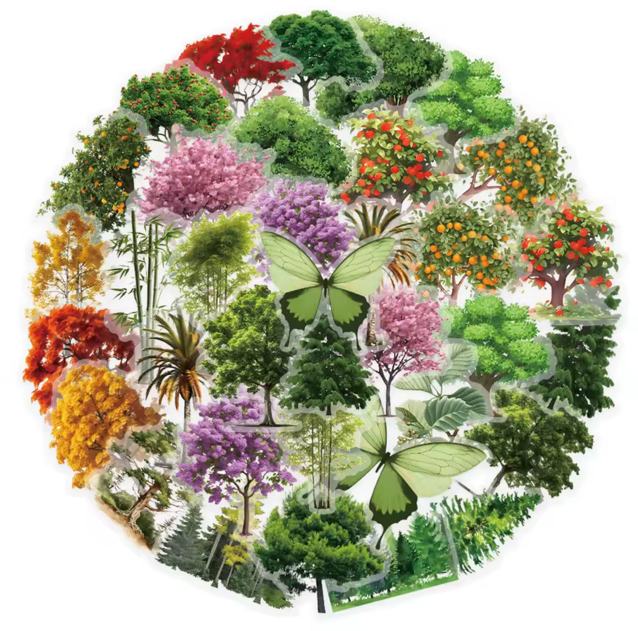50 Stickers transparentes arboles