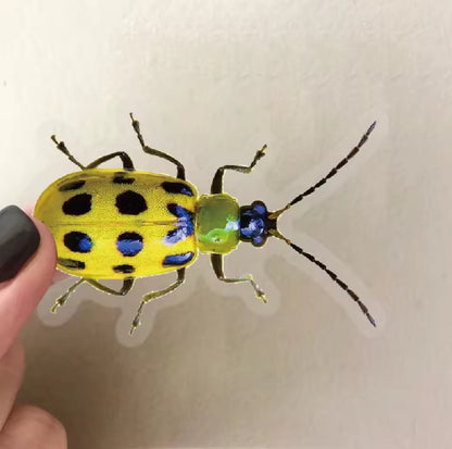 50 Stickers Transparentes Insectos