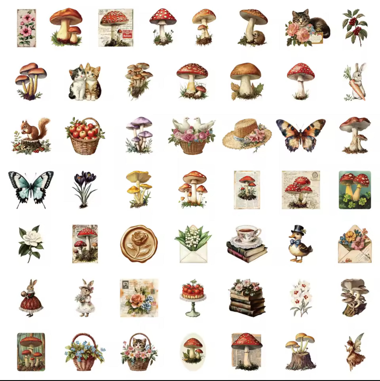 50 Stickers transparentes Hongos vintage