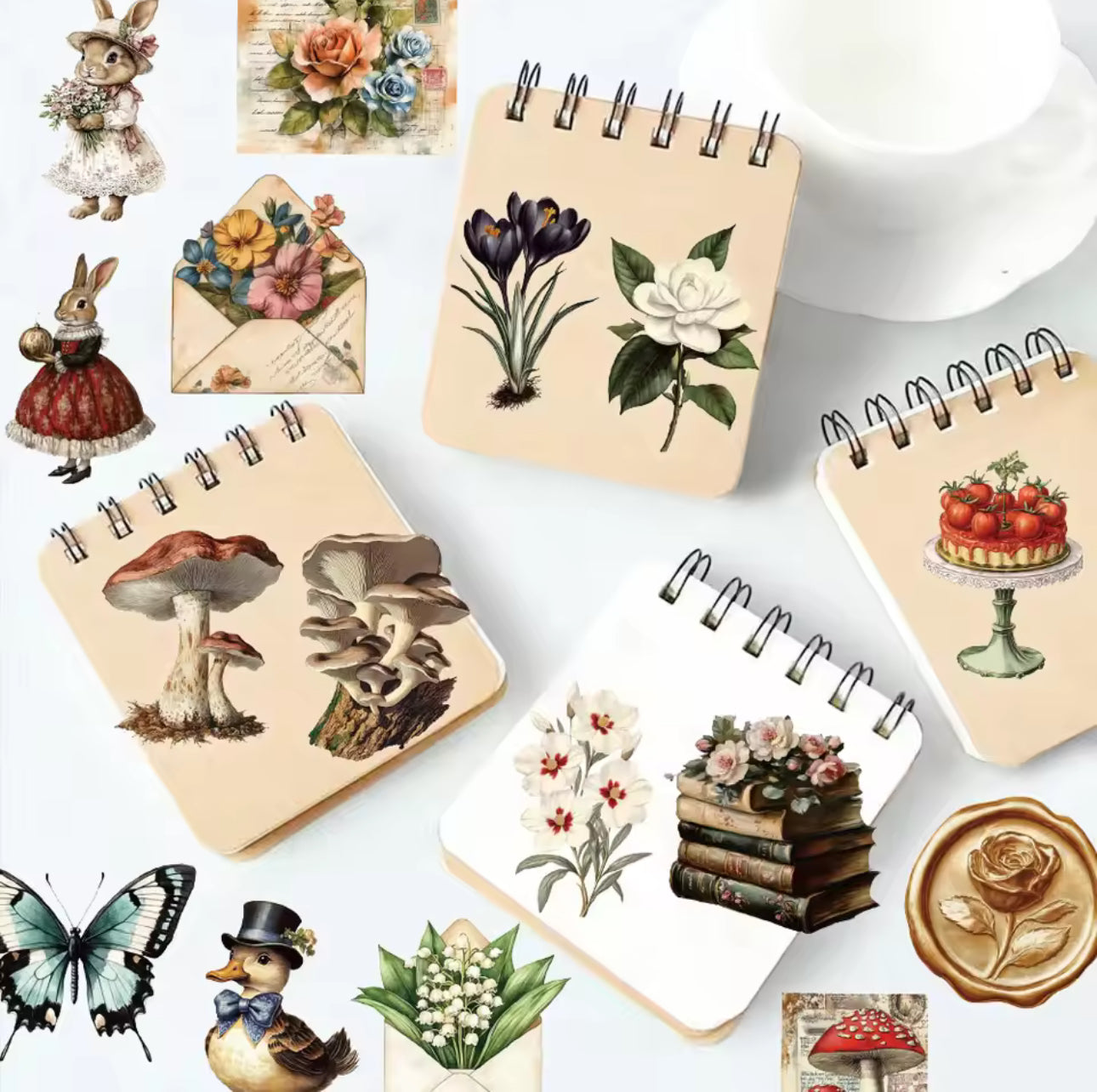 50 Stickers transparentes Hongos vintage