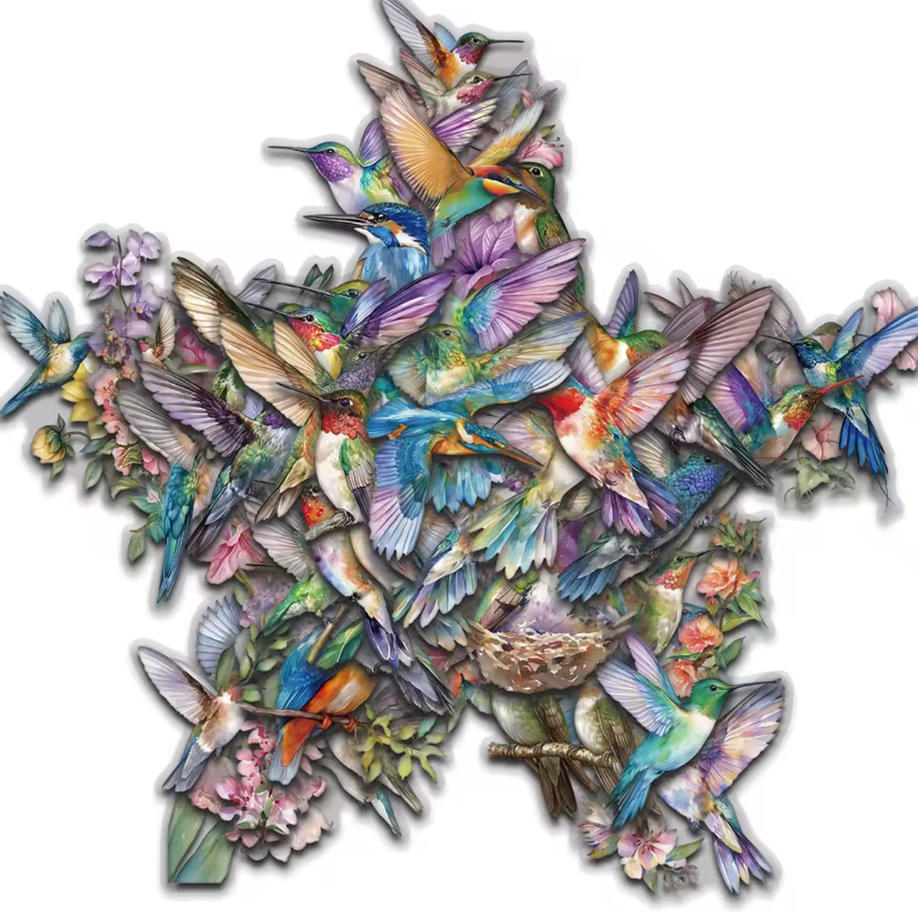 50 Stickers Transparentes Colibris & Parajos