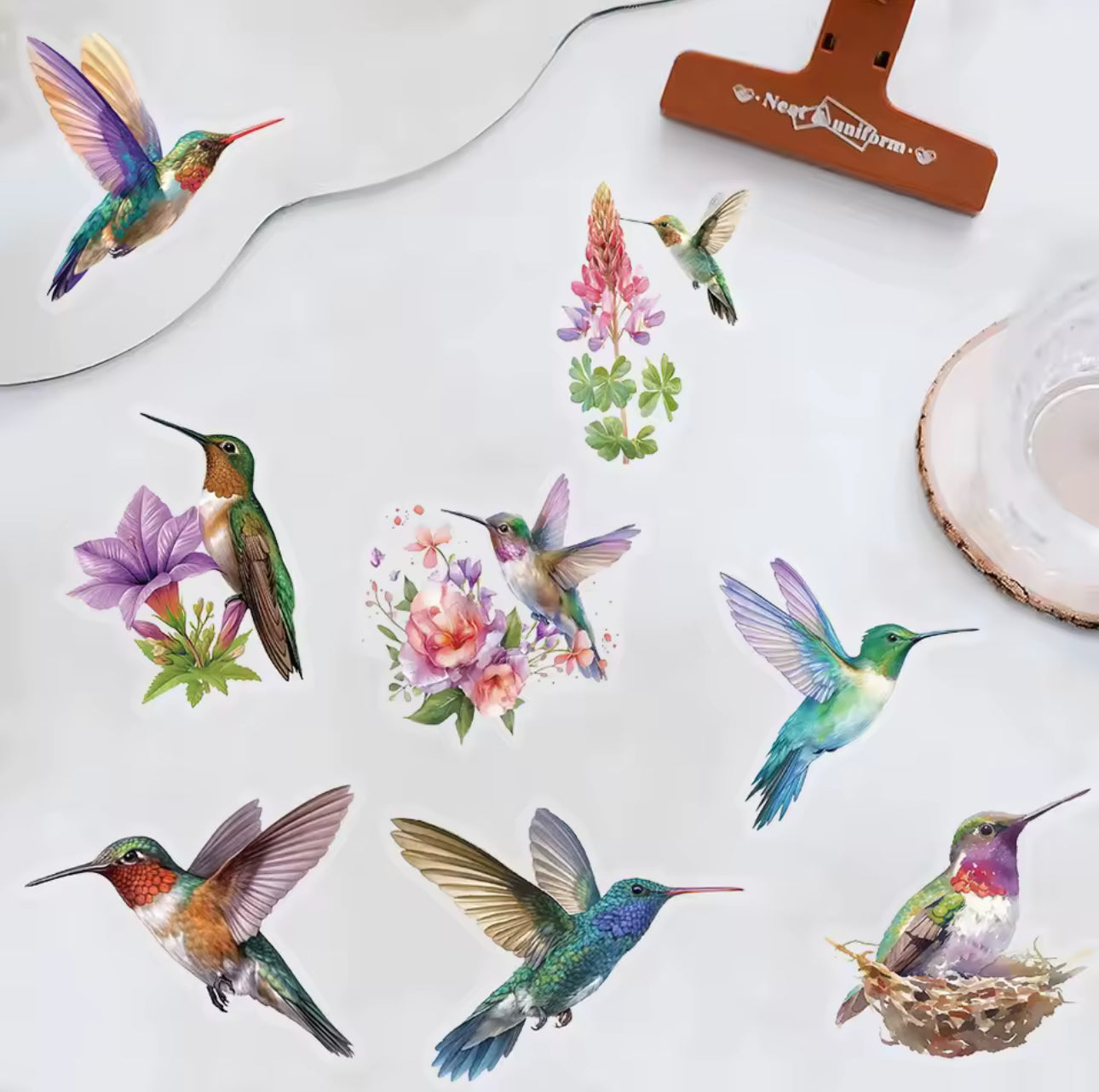 50 Stickers Transparentes Colibris & Parajos