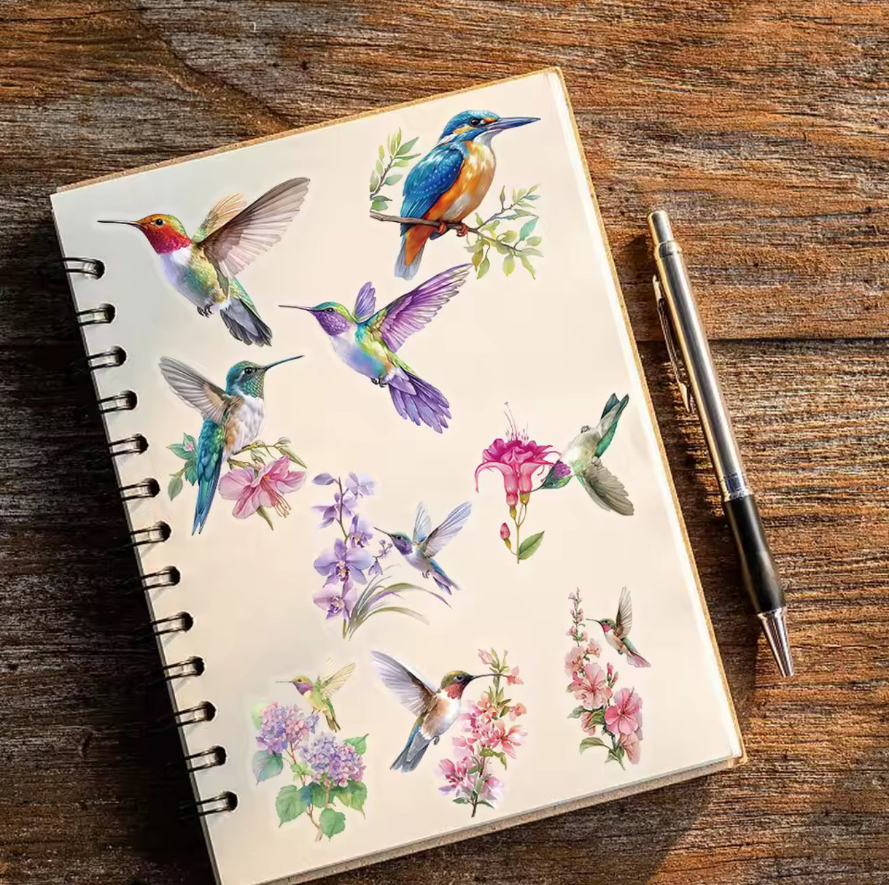 50 Stickers Transparentes Colibris & Parajos