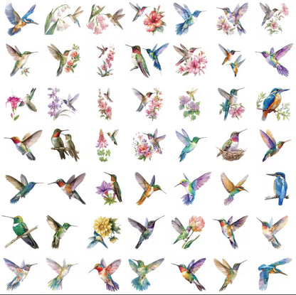 50 Stickers Transparentes Colibris & Parajos