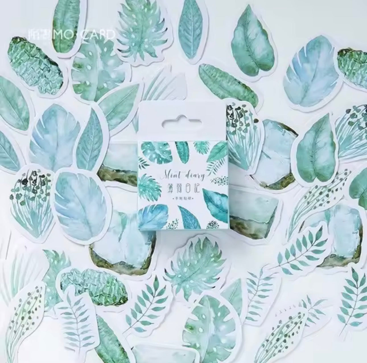Cajita de Stickers Mint Diary - Hojas verdes