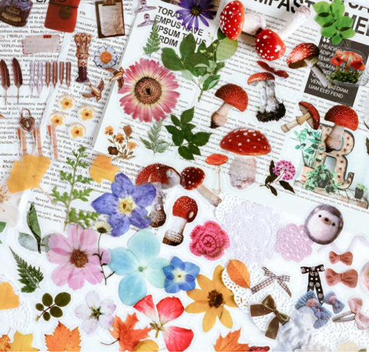 40 Stickers Naturaleza