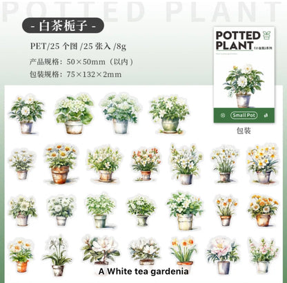25 Stickers Flores & Macetas